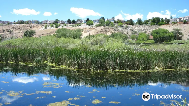 Oxbow Nature Study Area Travel Guidebook Must Visit Attractions In Reno Oxbow Nature Study Area Nearby Recommendation Trip Com