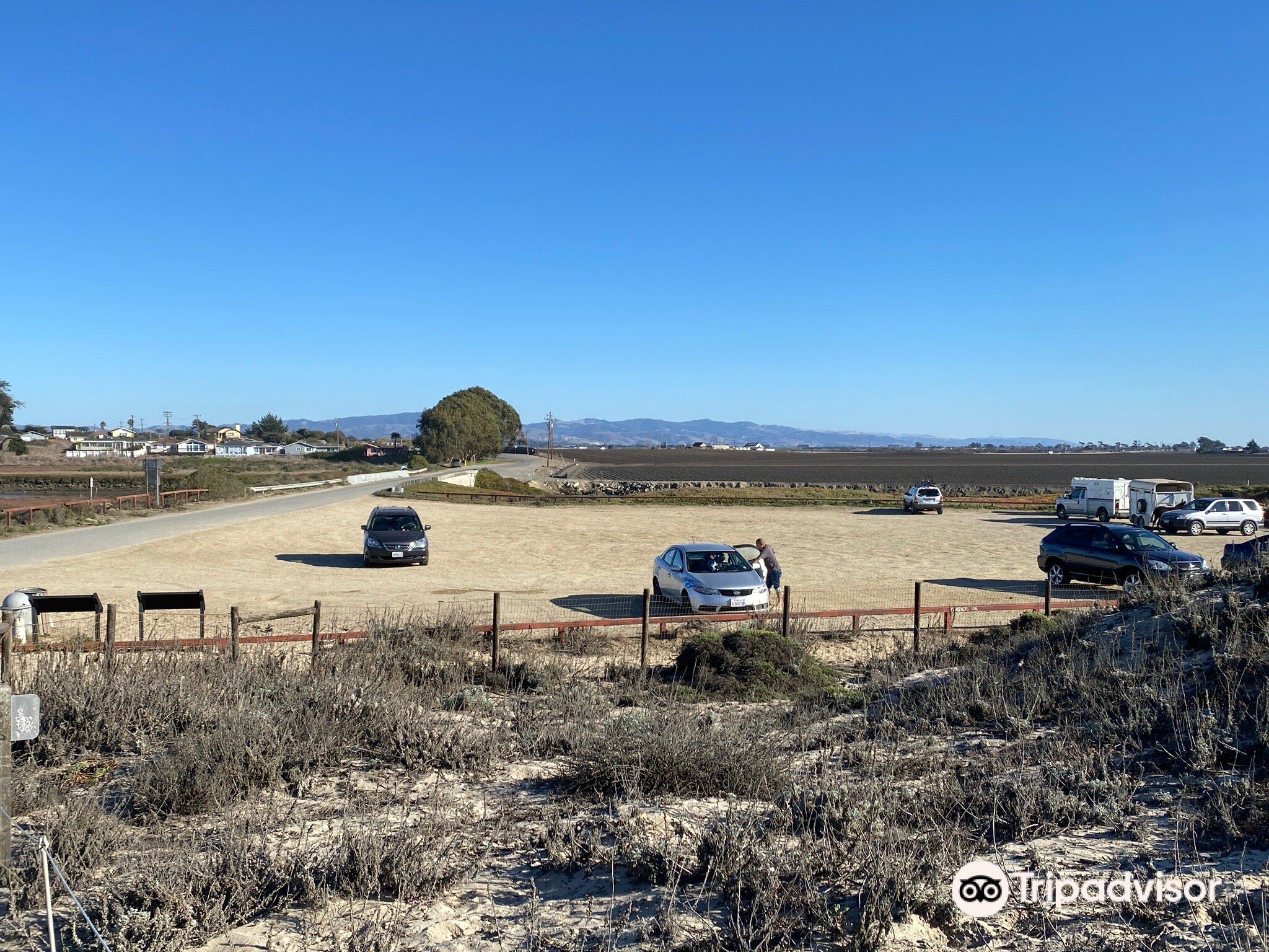 Salinas River State Beach Attraction Reviews Salinas River State Beach Tickets Salinas River State Beach Discounts Salinas River State Beach Transportation Address Opening Hours Attractions Hotels And Food
