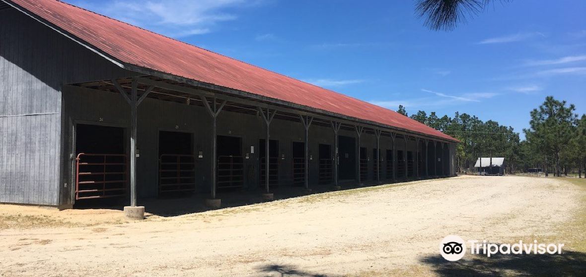 Cheraw Travel Guide 2023 Things to Do, What To Eat & Tips