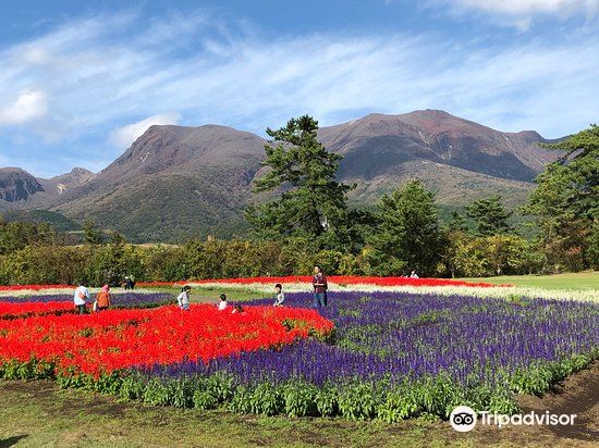 竹田市 くじゅう花公園 評判 案内 トリップドットコム