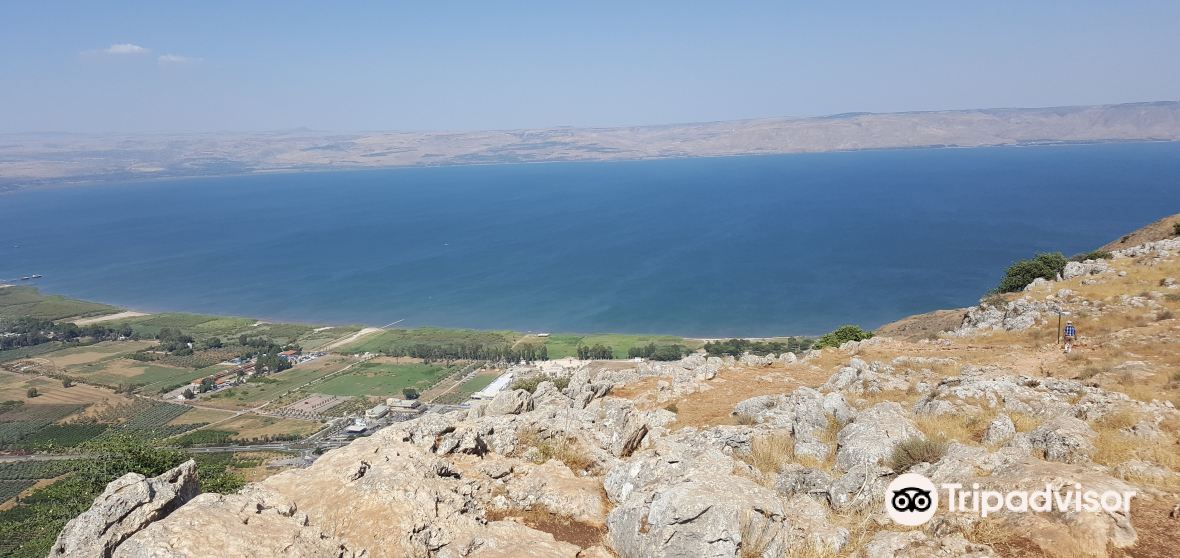 El Batuf Travel Guide 2023 Things to Do, What To Eat & Tips