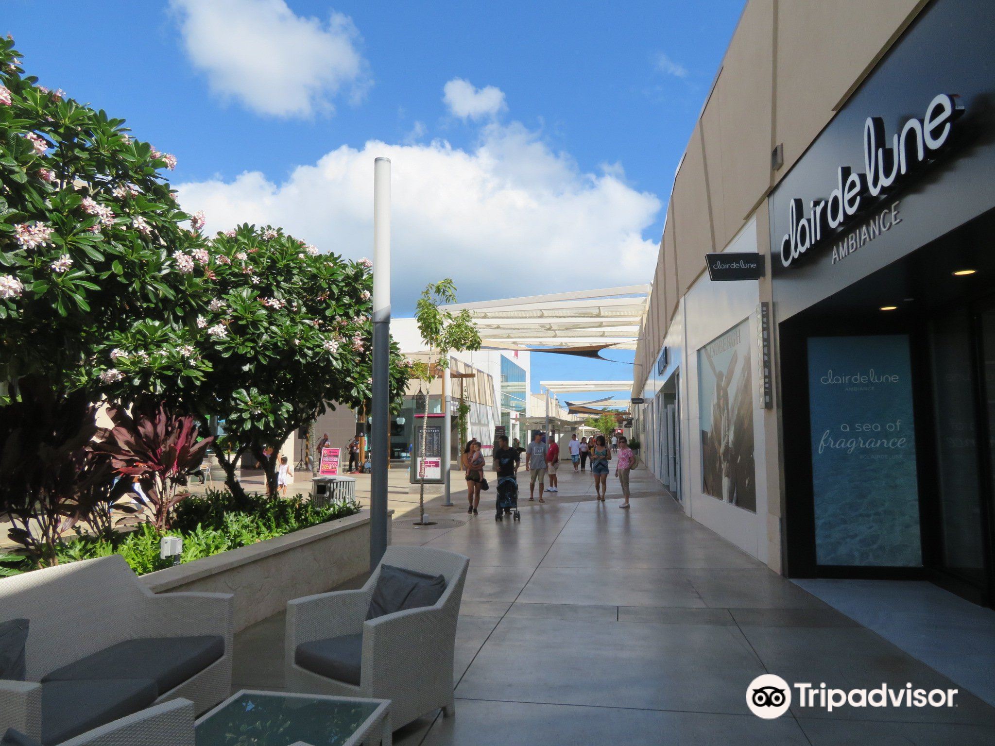 Shopping area at the resort kind of like an outdoor mall. - Picture of Hilton  Hawaiian Village Waikiki Beach Resort, Oahu - Tripadvisor