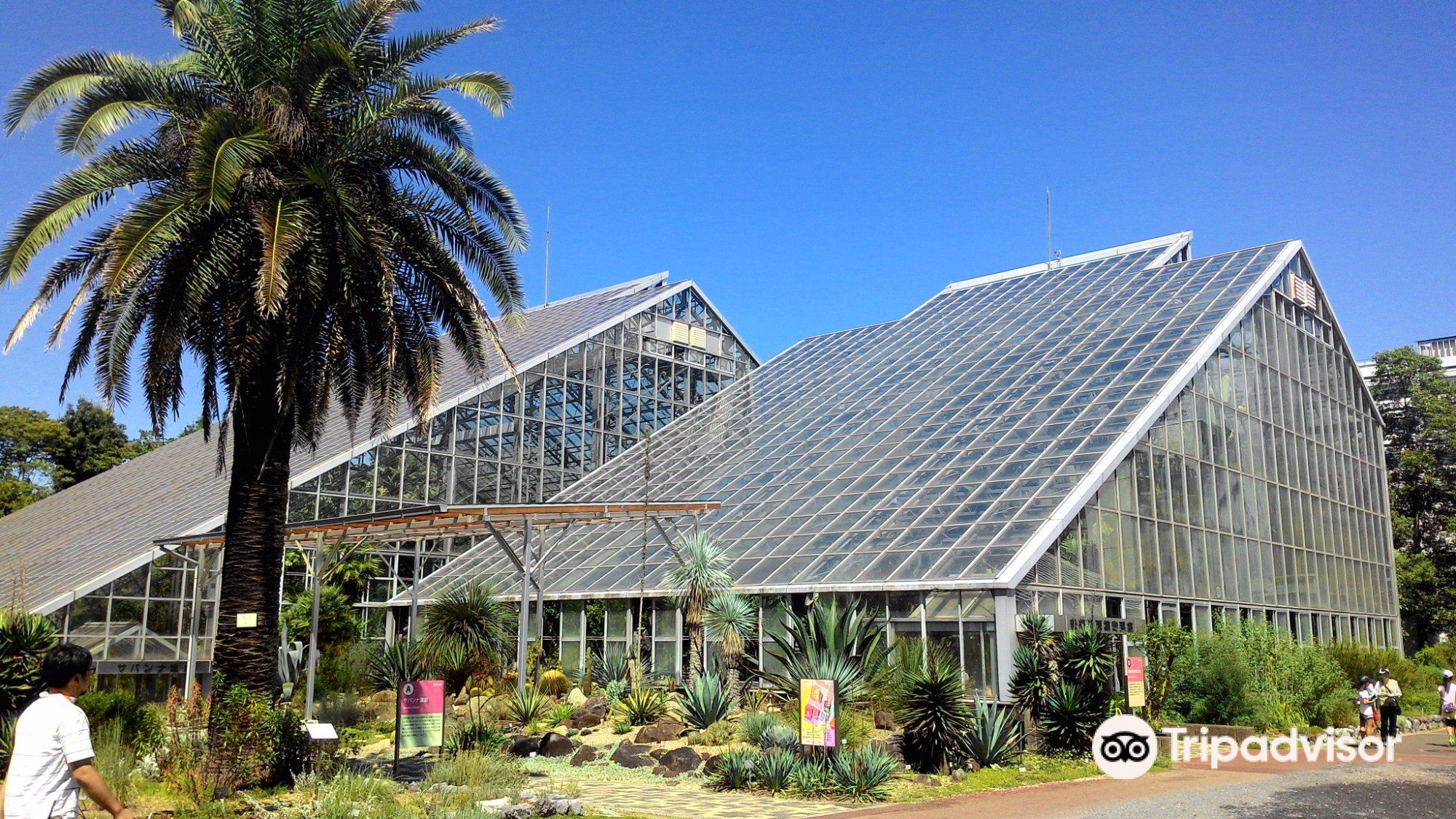 国立科学博物館筑波実験植物園のレビュー 国立科学博物館筑波実験植物園のチケット 国立科学博物館筑波実験植物園の割引 国立科学博物館筑波実験 植物園の交通機関 所在地 営業時間 国立科学博物館筑波実験植物園周辺の観光スポット ホテル グルメ Trip Com