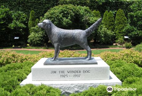 Wonder Dog Memorial Garden