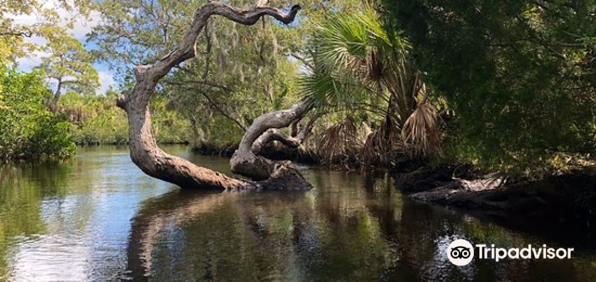 แนะนำการเดินทาง Jasmine Estates 2023 สิ่งที่ควรทำ, อาหารที่ควร