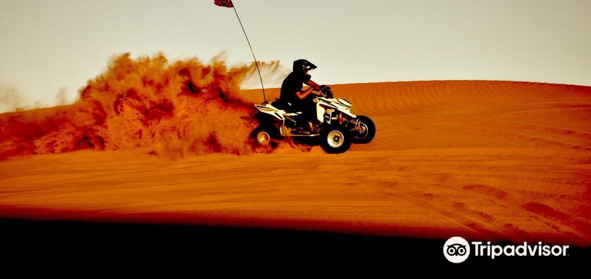 Homestead Meadows South Travel Guide 2023 Things to Do, What To Eat