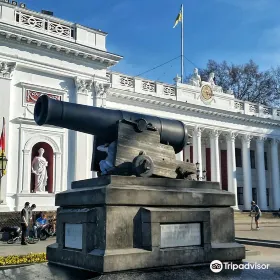 The Cannon
