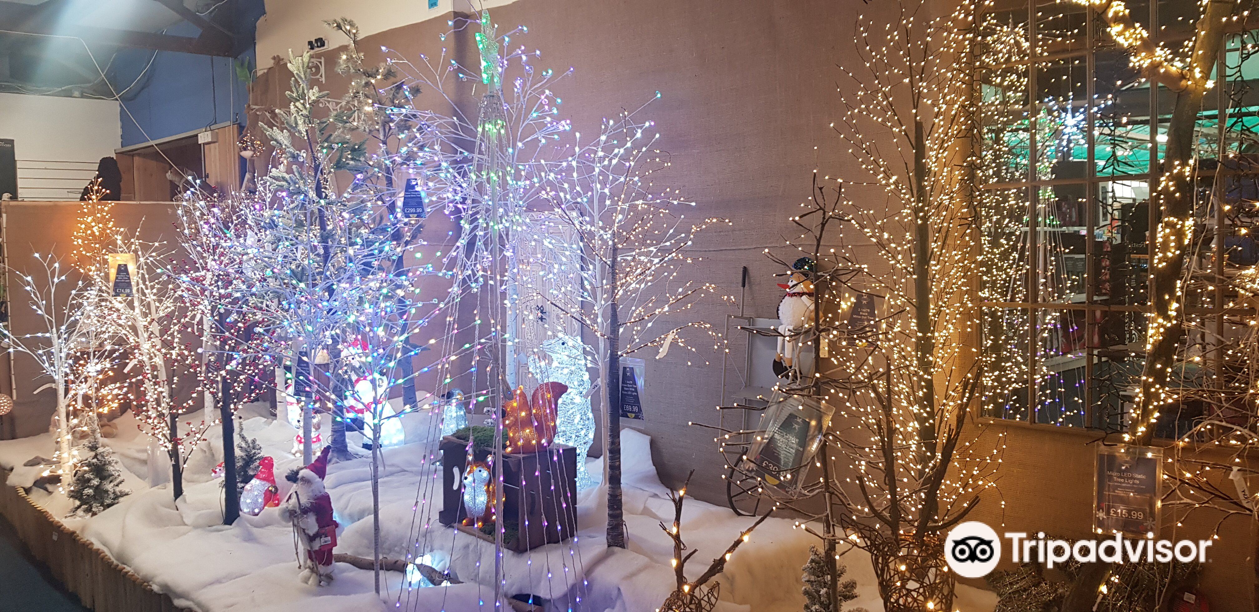 6月Trowell Garden Centre的最新旅遊行程（更新於2023）、Trowell Garden Centre的評價