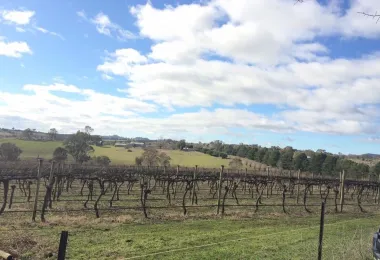 Pankhurst Wines รูปภาพAttractionsยอดนิยม