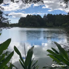 Bosques de Fraijanes