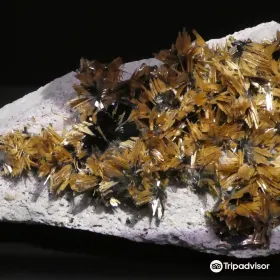 Mim Museum - Mineral Museum