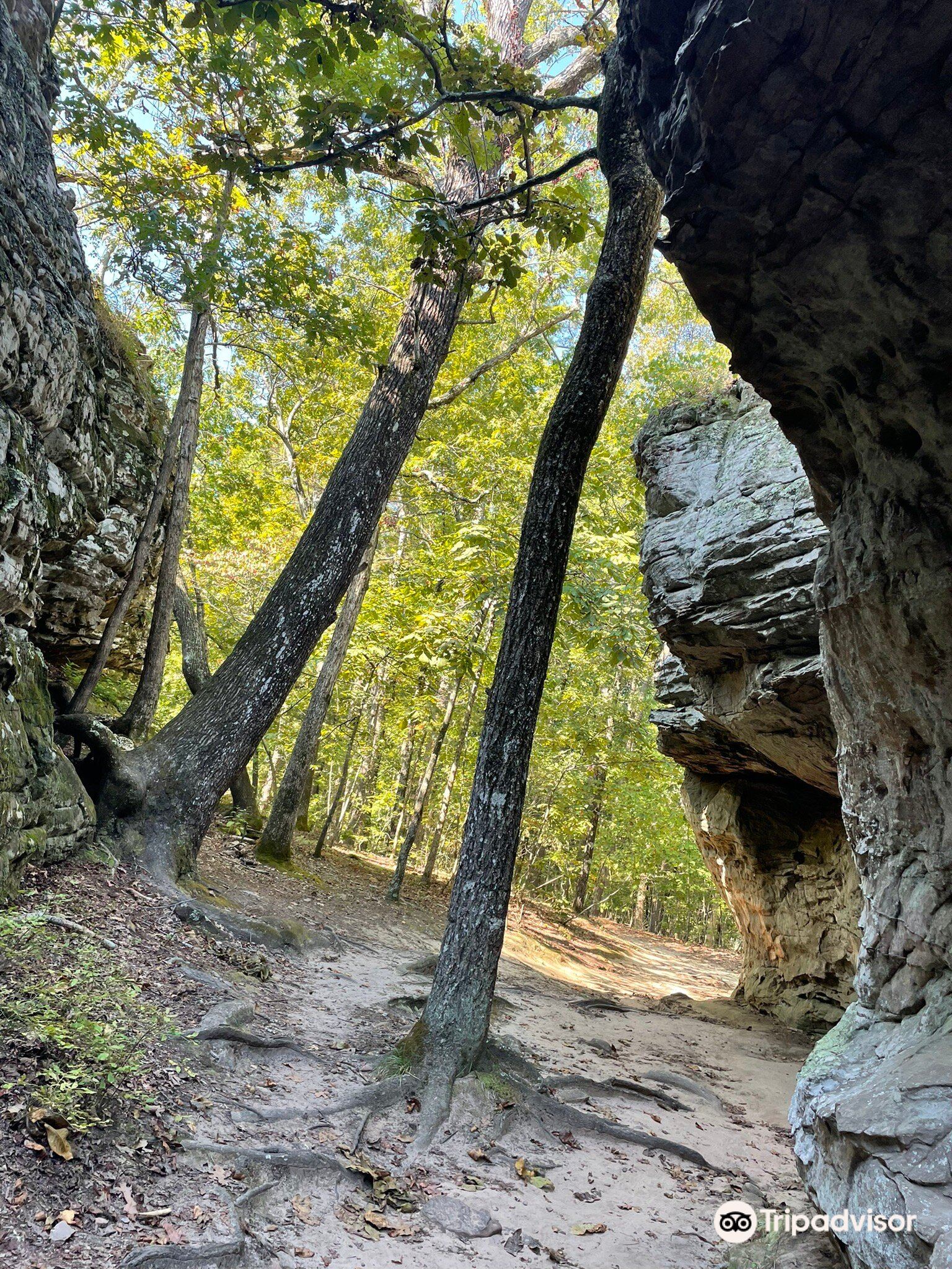 tripadvisor petit jean state park