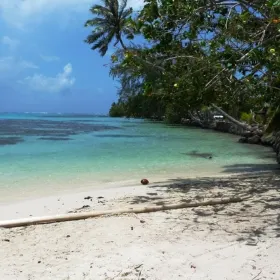 Opunohu Beach