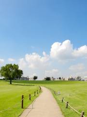 奧林匹克公園
