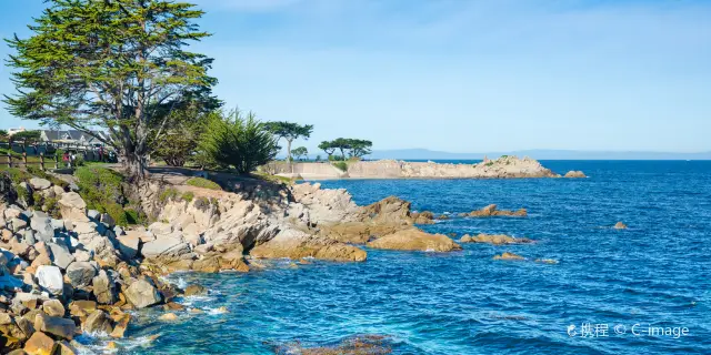 Monterey County Travel Guide 2024 Things to Do What To Eat