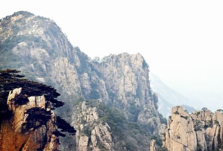 Longyun Valley Scenic Area