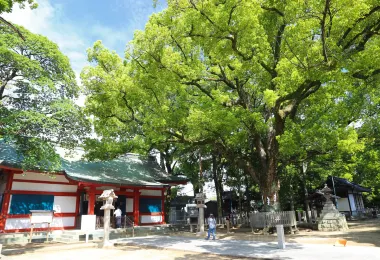 Ōyosami Shrine Popular Attractions Photos