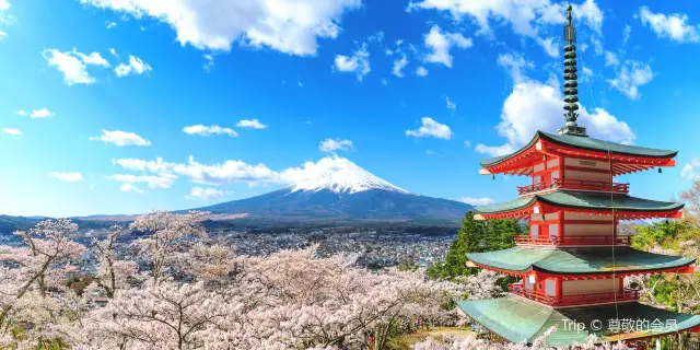 2022日本熱門推薦活動－日本旅遊攻略－日本人氣推介景點門票、酒店、好去處、餐飲及餐廳－Trip.com
