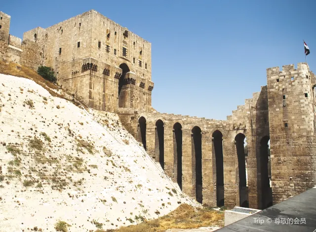 Aleppo Citadel2