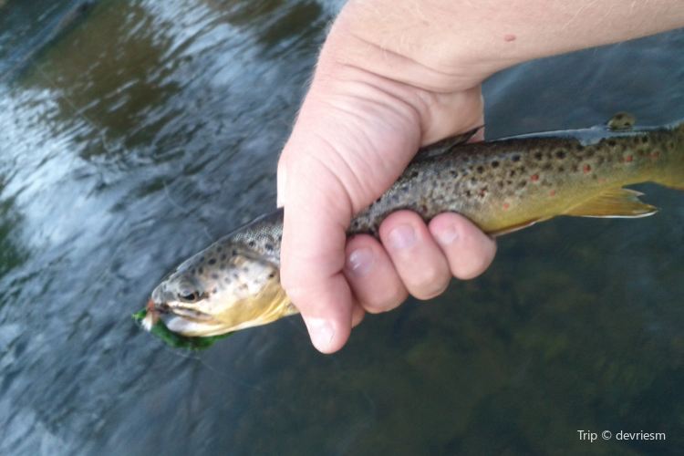 Catskill Fly Fishing Center And Museum Travel Guidebook Must Visit Attractions In Rockland Catskill Fly Fishing Center And Museum Nearby Recommendation Trip Com