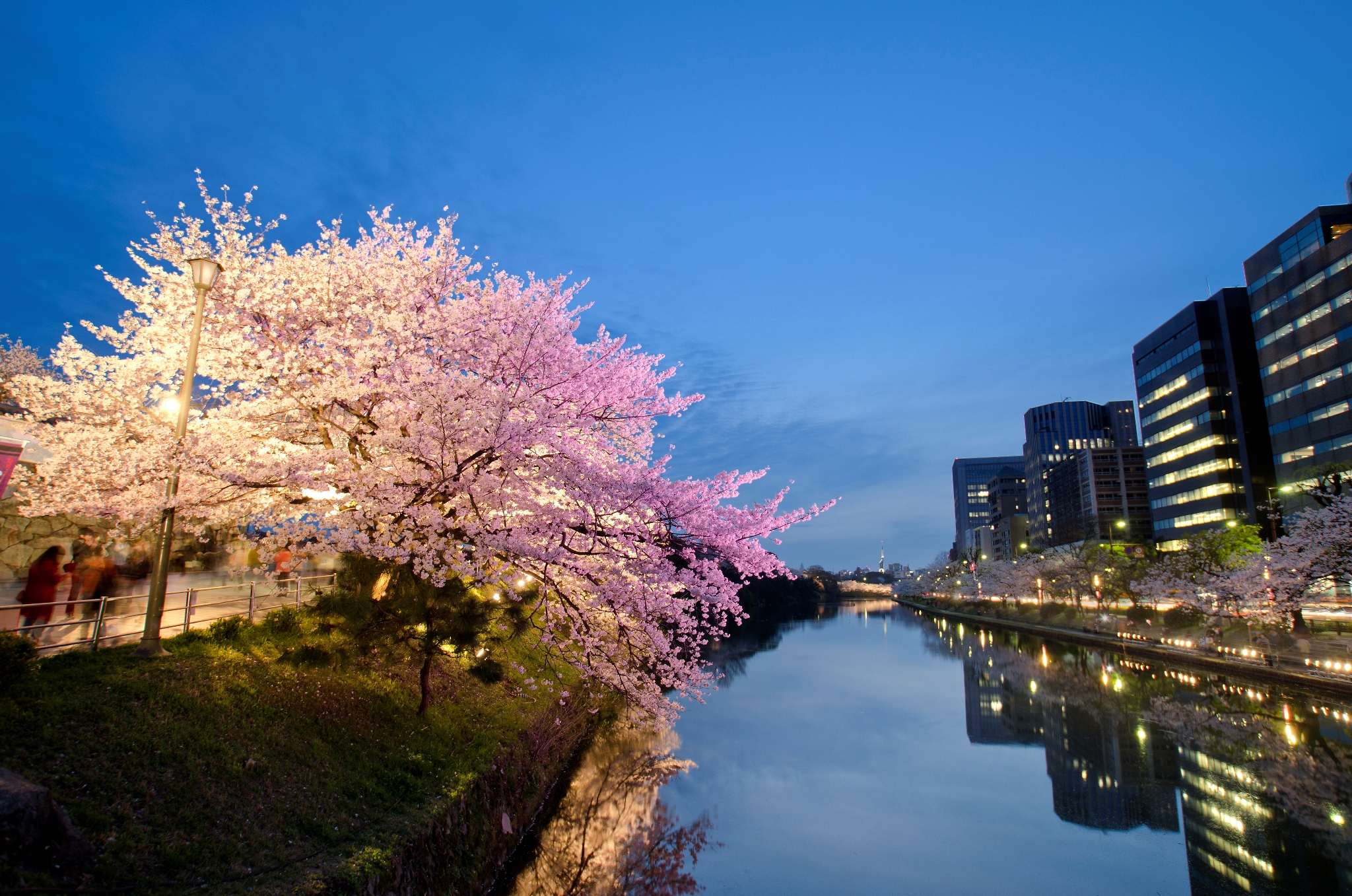 Fukuoka Castle Ruins Attraction Reviews Fukuoka Castle Ruins Tickets Fukuoka Castle Ruins Discounts Fukuoka Castle Ruins Transportation Address Opening Hours Attractions Hotels And Food Near Fukuoka Castle Ruins Trip Com