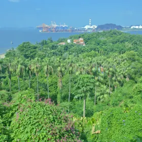 Overseas Chinese Subtropical Plant Introduction Garden