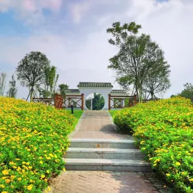 Zigong Flower Sea