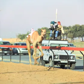 Dubai Camel Racing Club
