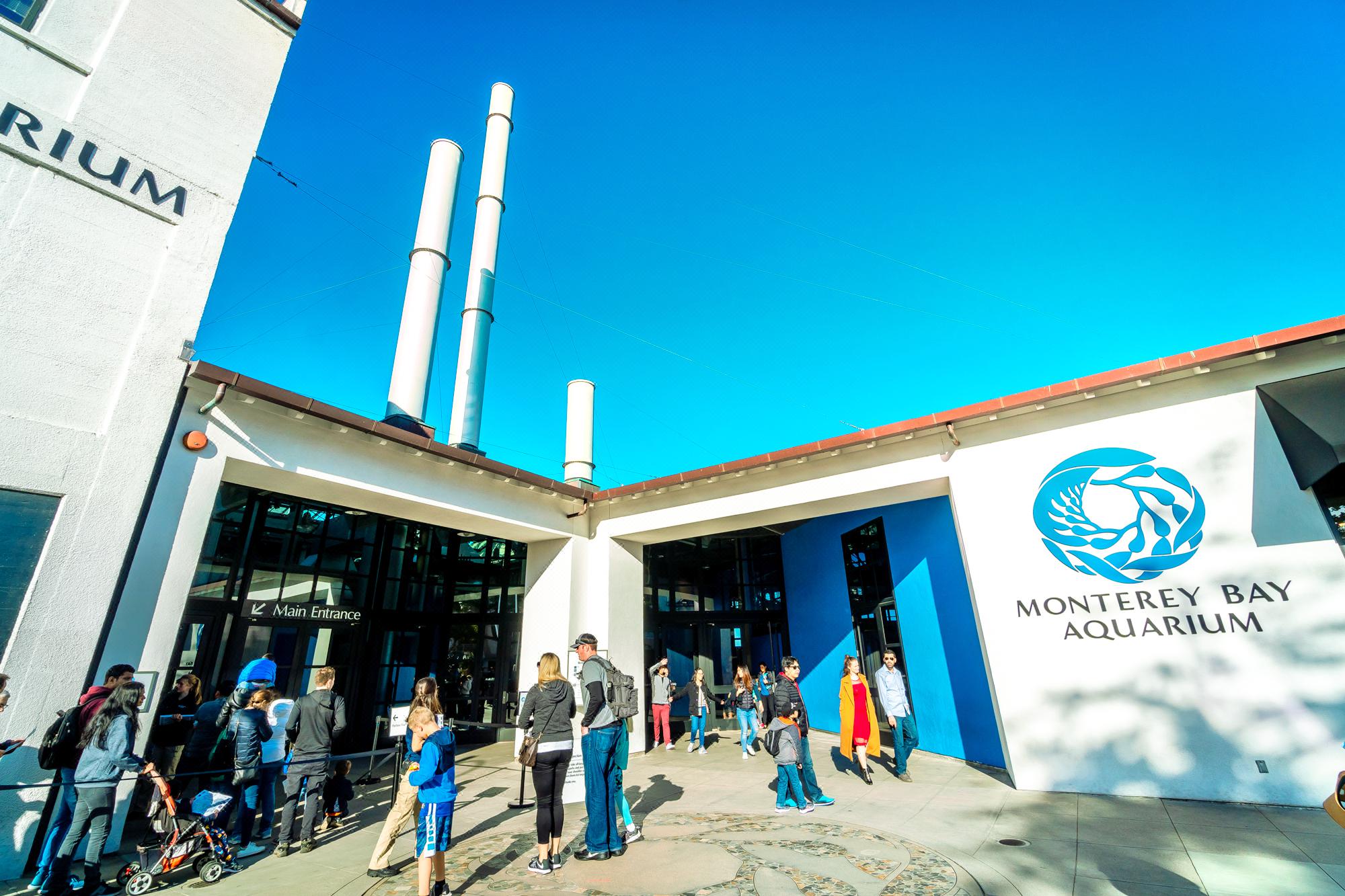 モントレー モントレーベイ水族館 評判 案内 トリップドットコム モントレー モントレーベイ水族館 評判 案内 トリップドットコム