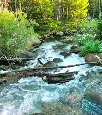 絶対に行くべきレイクウッドの観光スポット トリップドットコム