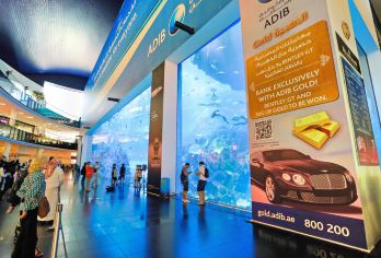 Dubai Aquarium and Underwater Zoo Popular Attractions Photos
