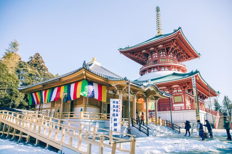 成田 成田山新勝寺 評判 案内 トリップドットコム 成田 成田山新勝寺 評判 案内 トリップドットコム