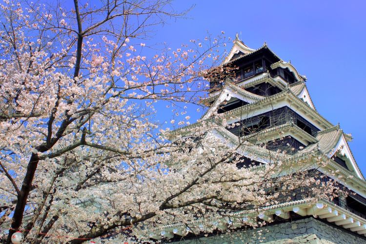 熊本城旅遊攻略指南 熊本城評價 熊本城附近推薦 Trip Com 熊本城旅遊攻略指南 熊本城評價 熊本城附近推薦 Trip Com