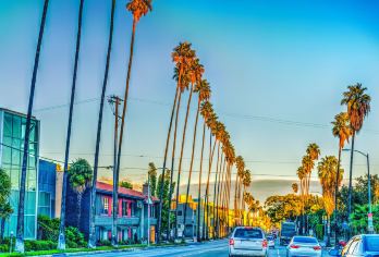 Sunset Boulevard Popular Attractions Photos