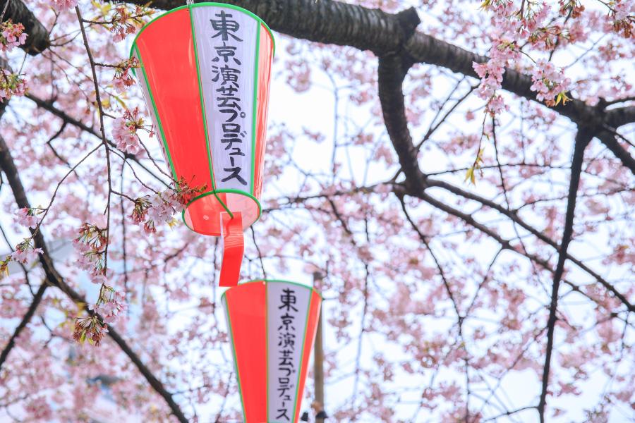 東京 東京ディズニーシー 評判 案内 トリップドットコム