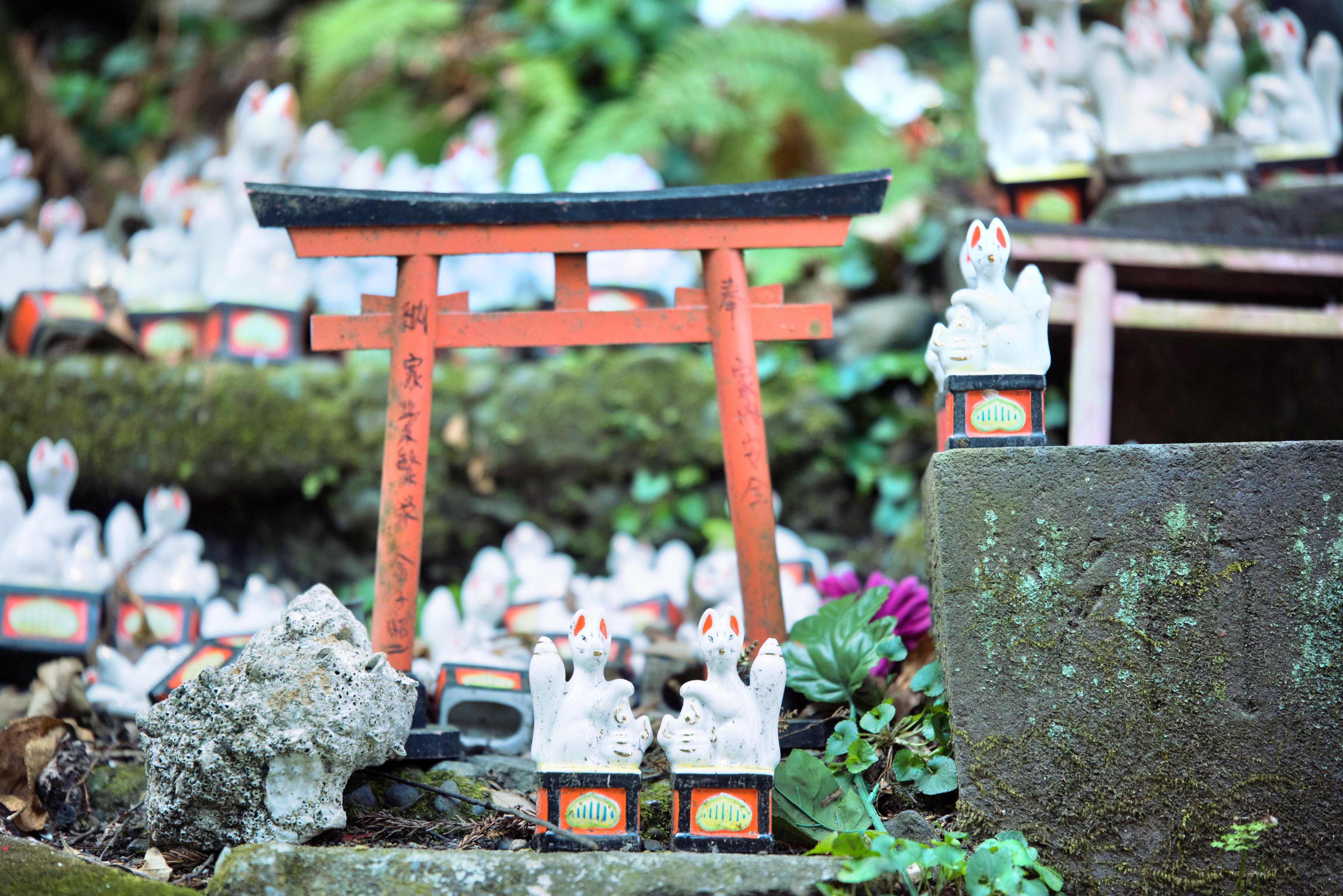 佐助稻荷神社旅遊攻略指南 佐助稻荷神社評論 佐助稻荷神社附近推薦 Trip Com