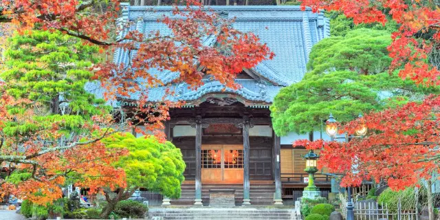 22伊豆熱門推薦活動 伊豆旅遊攻略 伊豆人氣推介景點門票 酒店 好去處 餐飲及餐廳 Trip Com 22伊豆熱門推薦活動 伊豆旅遊攻略 伊豆人氣推介景點門票 酒店 好去處 餐飲及餐廳 Trip Com