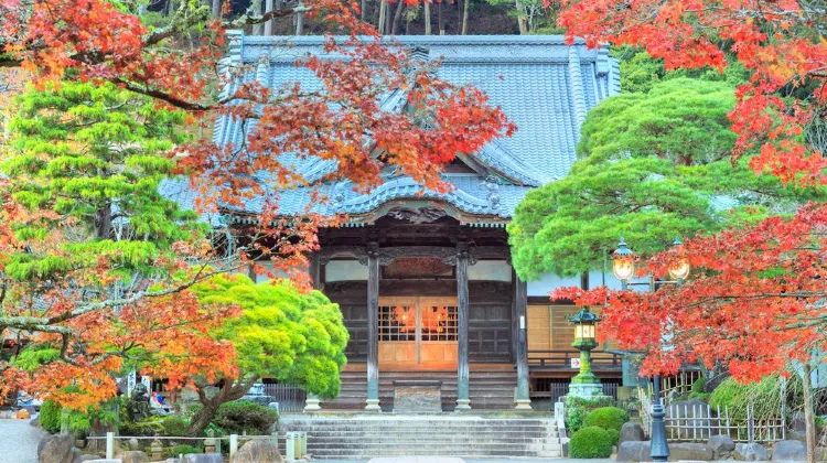 修善寺のレビュー 修善寺のチケット 修善寺の割引 修善寺の交通機関 所在地 営業時間 修善寺周辺の観光スポット ホテル グルメ Trip Com