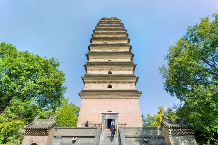 小雁塔 薦福寺 旅遊攻略指南 小雁塔 薦福寺 評價 小雁塔 薦福寺 附近推薦 Trip Com