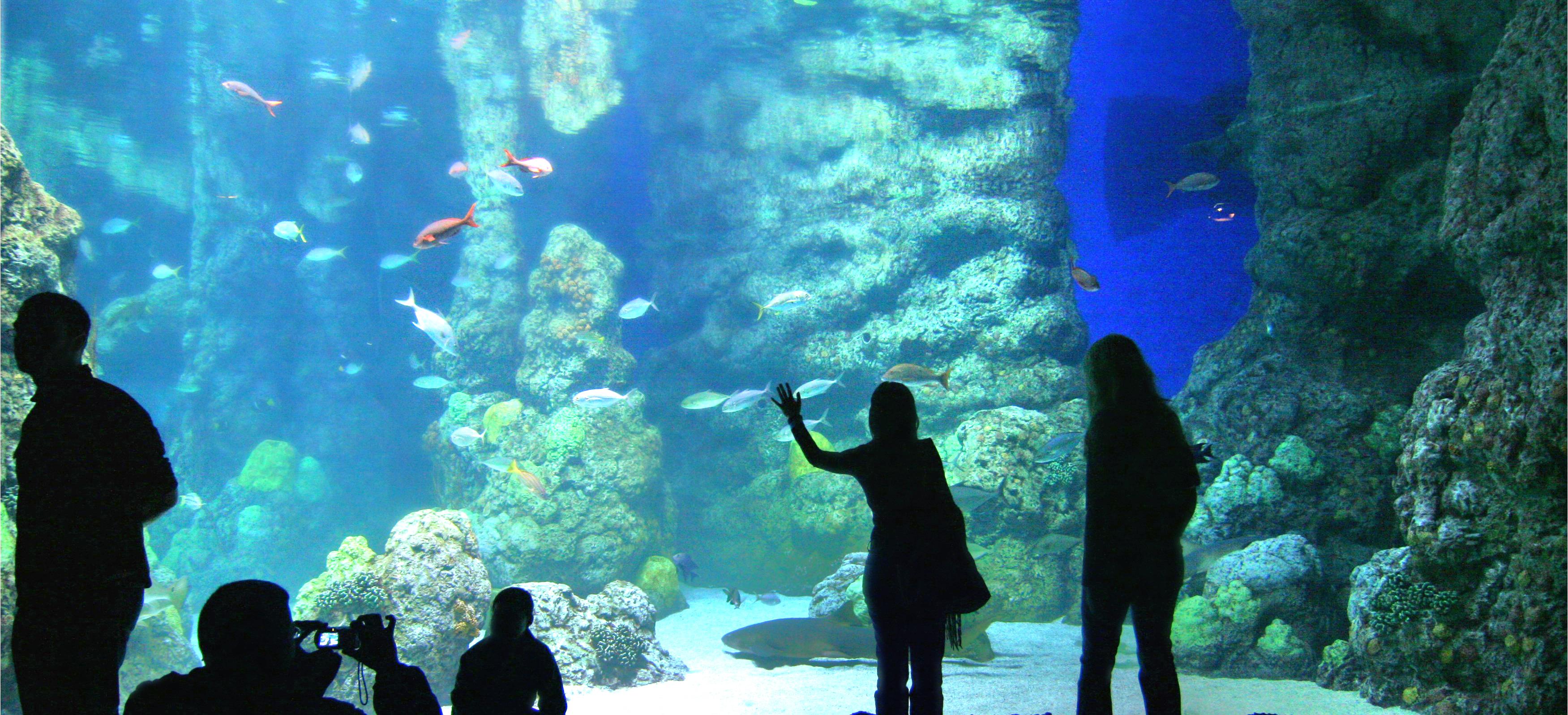 7 Days in Denver Trip Budgets, Hotels, Food & Attractions