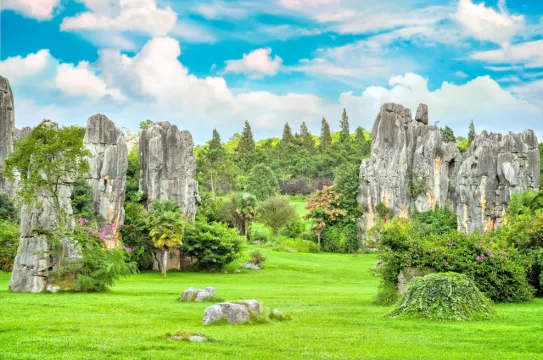 Stone Forest Scenic Area