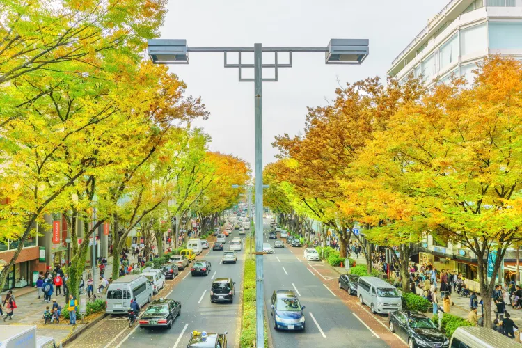 Omotesando Travel Guidebook Must Visit Attractions In Tokyo Omotesando Nearby Recommendation Trip Com