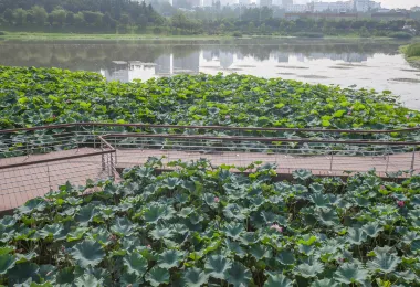 Taohuatan Park Popular Attractions Photos