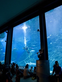 福岡 水族館 マリンワールド海の中道 Trip Com 福岡の旅のブログ
