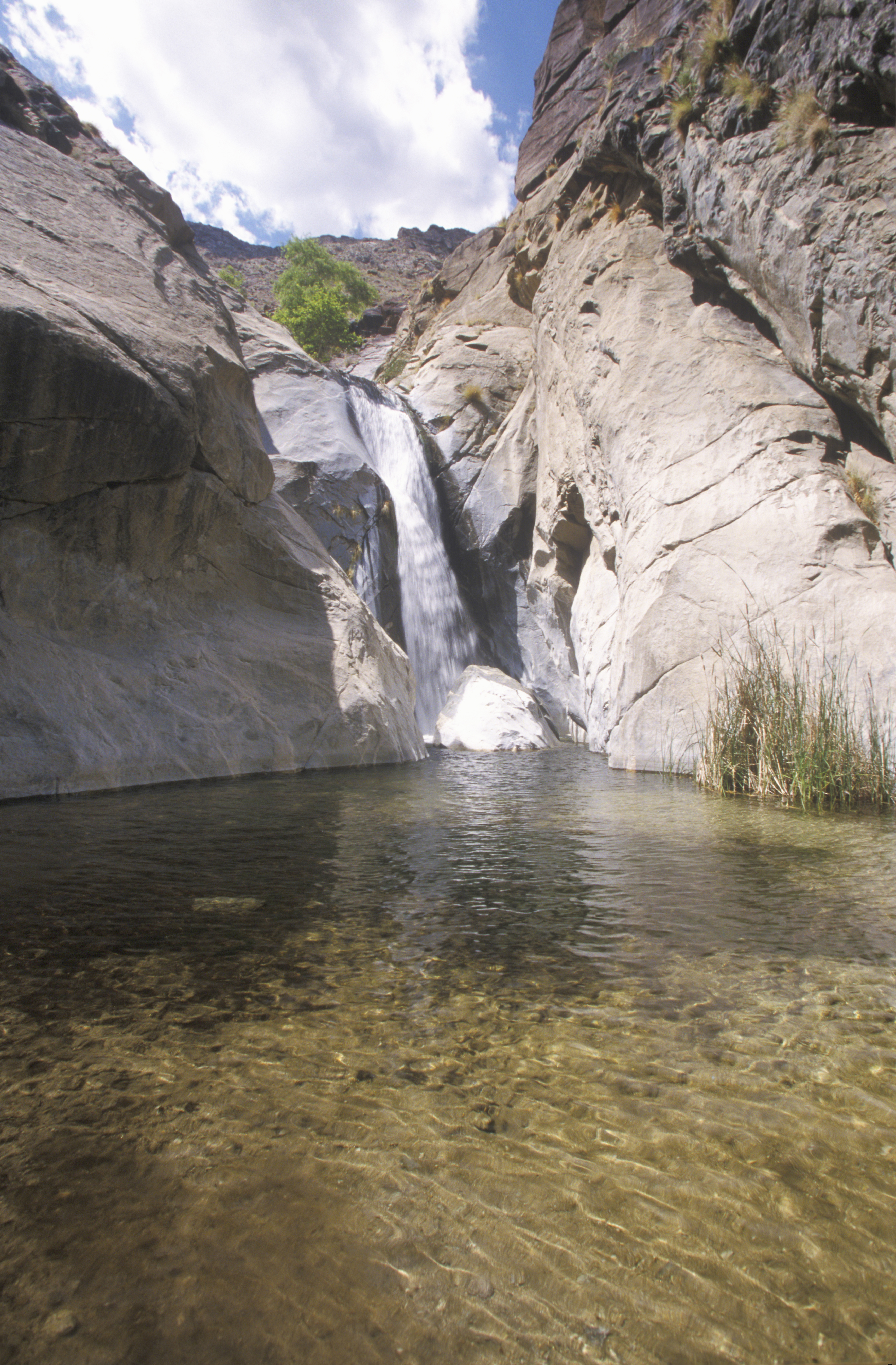 are dogs allowed at tahquitz canyon