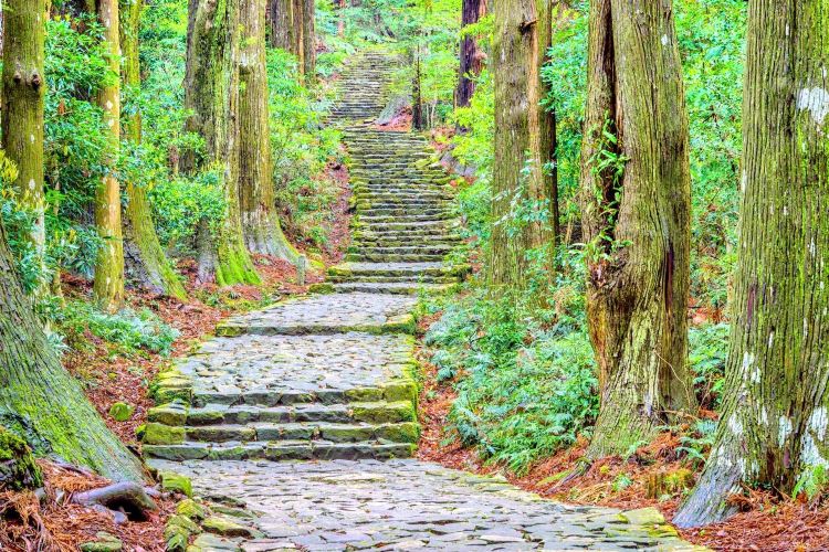 Daimonzaka Travel Guidebook Must Visit Attractions In Nachikatsuura Daimonzaka Nearby Recommendation Trip Com Daimonzaka Travel Guidebook Must Visit Attractions In Nachikatsuura Daimonzaka Nearby Recommendation Trip Com