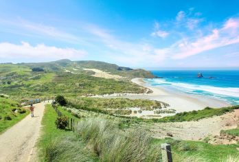 Otago Peninsula Popular Attractions Photos