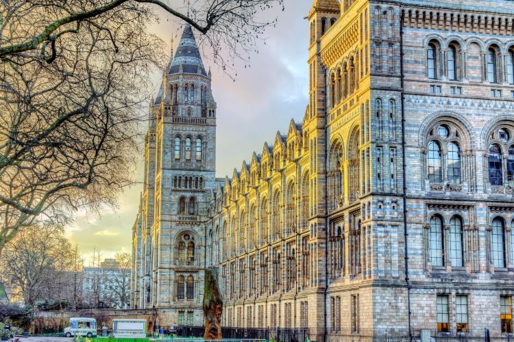 Natural History Museum Travel Guidebook Must Visit Attractions In London Natural History Museum Nearby Recommendation Trip Com