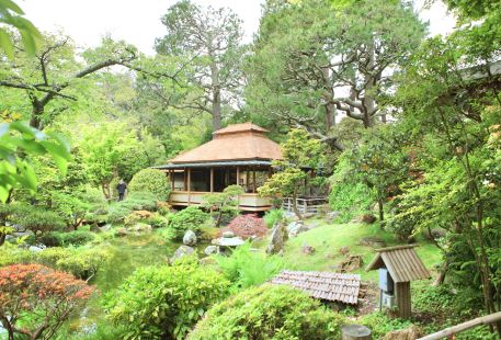 艾爾伯恩斯米勒日本花園
