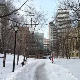 Philosopher's Walk